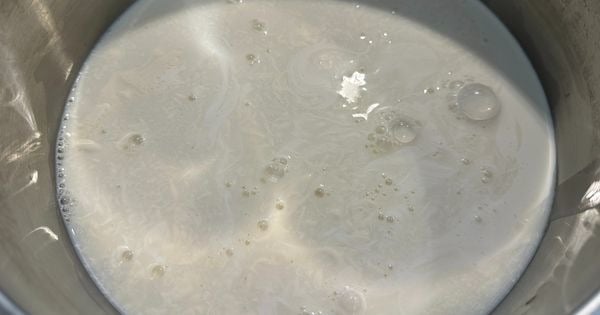 panna-cotta-asama2