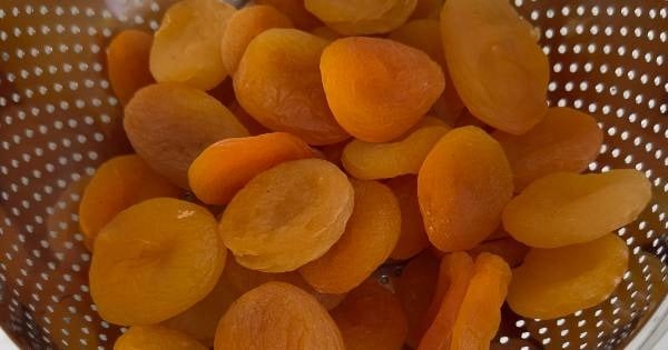 kuru-kayisi-kompostosu-asama1