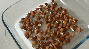 Yapılış - 1. Adım