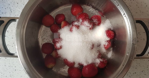 cilek-receli-2