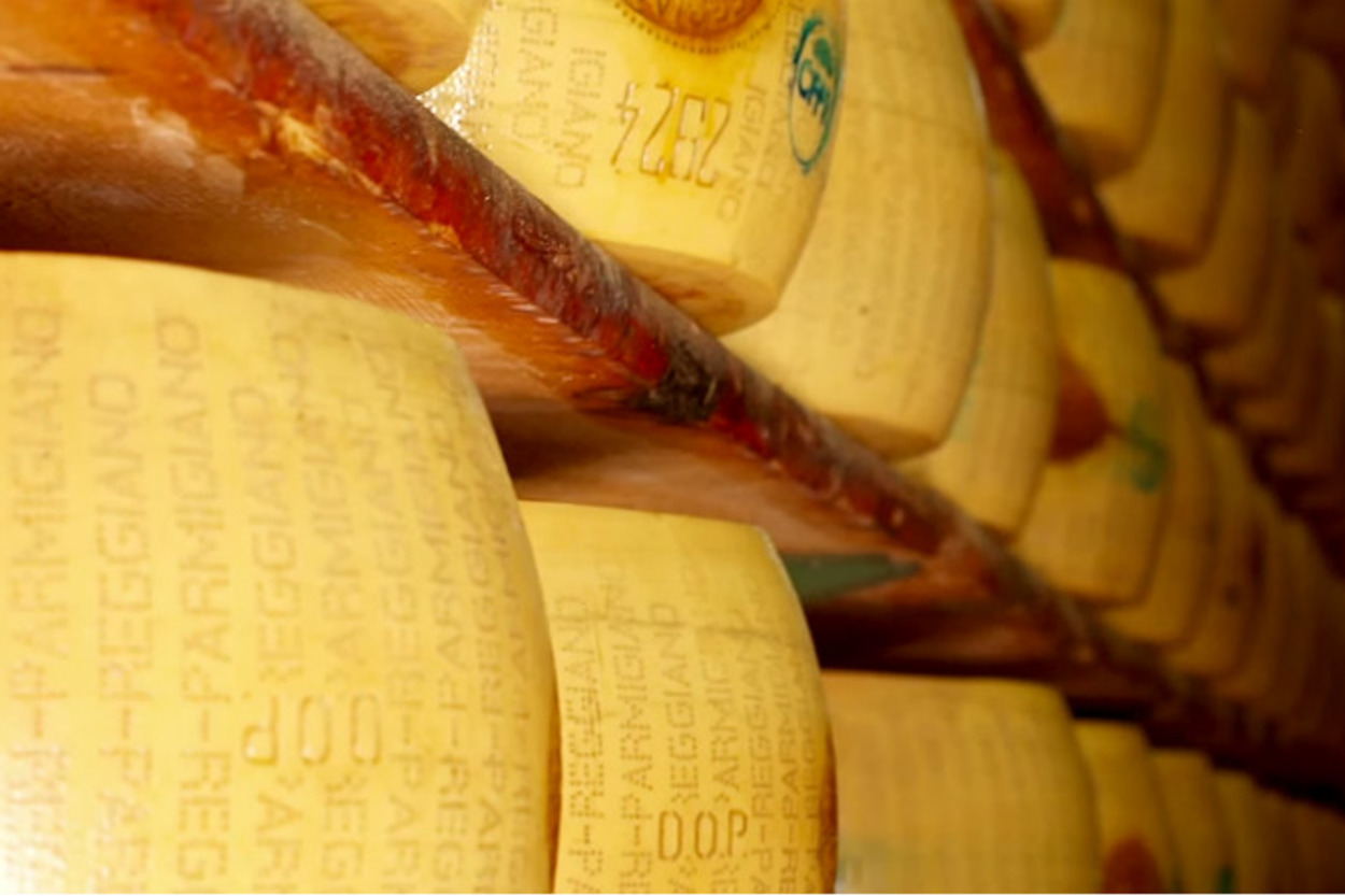 İtalya'nın Dünyaya Armağanı Parmesan Peyniri Nasıl Yapılır?