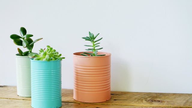 Konserve Kutularını Çöpten Evlerin Başköşesine Taşıyan 15 Minnoş Çalışma