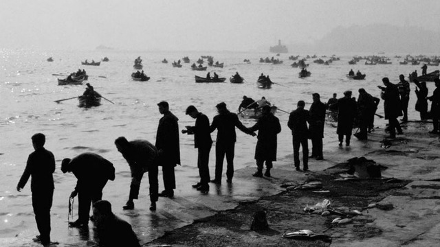 Boğaz'ın Çeşit Çeşit Balıkla Dolu Olduğu İstanbul'un Altın Yıllarından 27 Fotoğraf