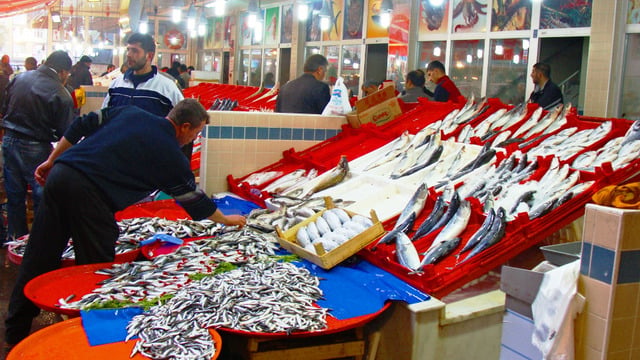 Rastgele: Balık Avı Hakkında Bilinmesi Gereken Gerçekler ve Avlama Teknikleri