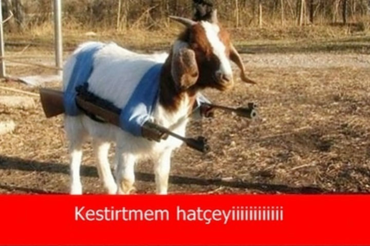 Kurban Bayramı'nın Gelişini Haber Veren Kavurma Tadında 21 Caps