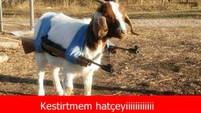 Kurban Bayramı'nın Gelişini Haber Veren Kavurma Tadında 21 Caps