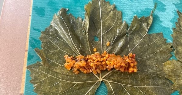 bulgurlu-yaprak-sarma-asama6