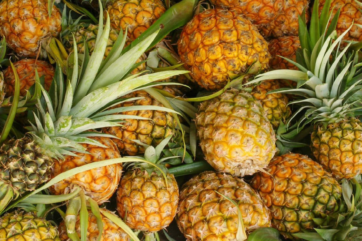 Ananas