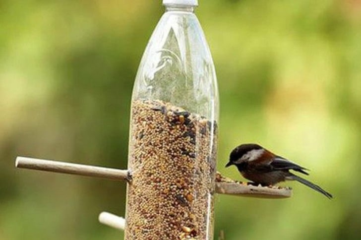 Kuşların Karnını Doyururken Geri Dönüşüme de Katkı Sağlayacağınız 14 Çalışma