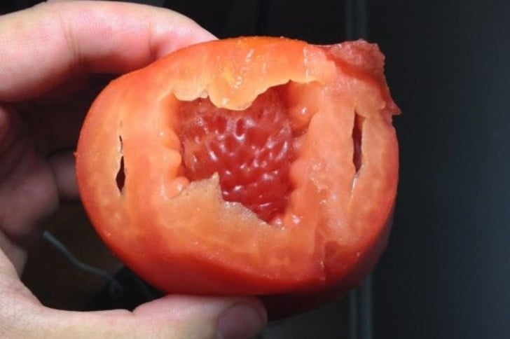 Kimlik Karmaşası Yaşadığı Her Halinden Belli Olan 14 Tövbeler Tövbesi Yiyecek
