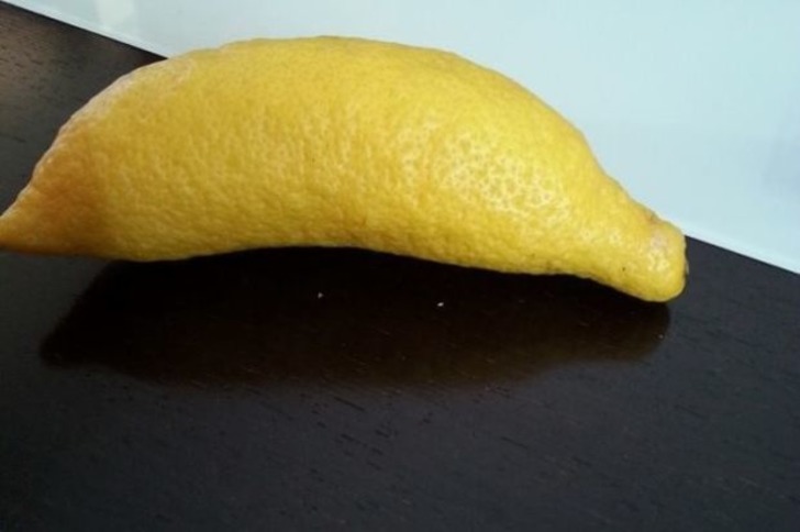 Kimlik Karmaşası Yaşadığı Her Halinden Belli Olan 14 Tövbeler Tövbesi Yiyecek