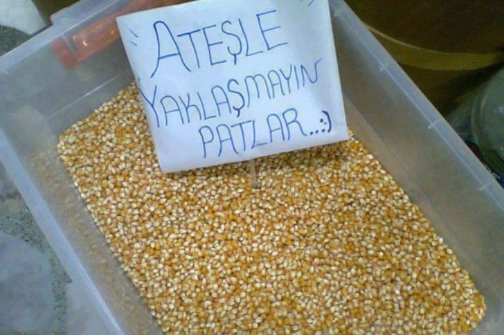 maksatgeyik