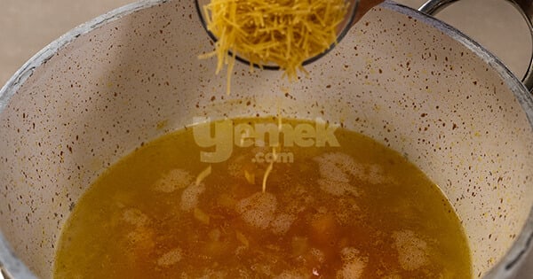 terbiyeli-sebzeli-tavuk-corbasi-4