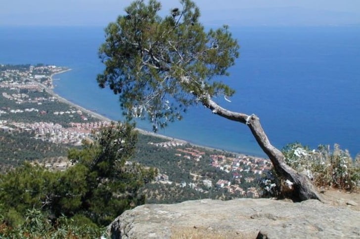 Bu Hafta Sonu Erkenden Kalkıp Kaz Dağları'na Gitmek İçin 7 Nefis Sebep