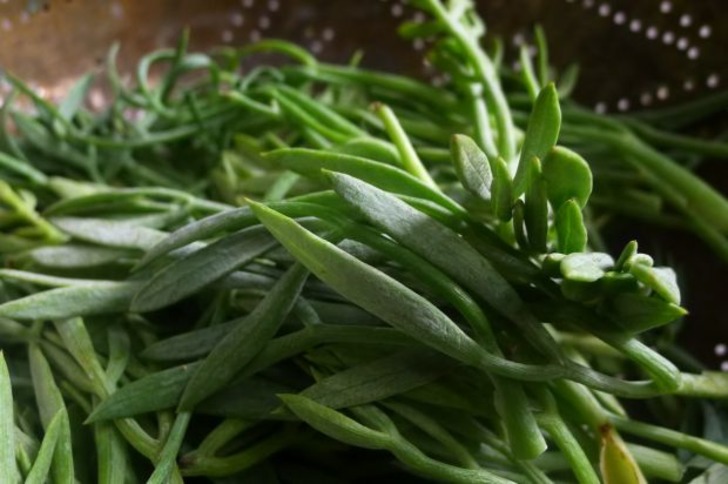 Tadını Yalnızca Akdenizlilerin Bildiği 12 Güneyli Ot