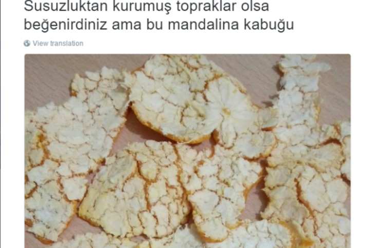 "Olsa Beğenirdiniz" Diyerek Yiyeceklerle İlgili Algımızı Alt Üst Eden 12 Paylaşım