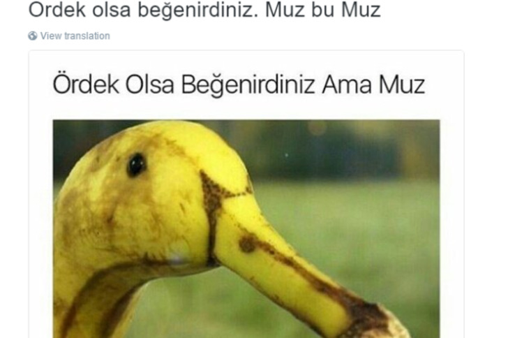 "Olsa Beğenirdiniz" Diyerek Yiyeceklerle İlgili Algımızı Alt Üst Eden 12 Paylaşım