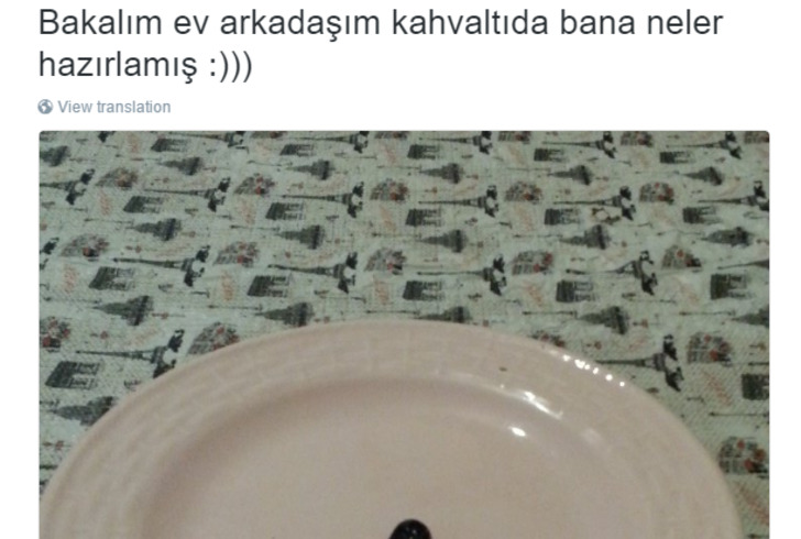 Ev Arkadaşına Sahip Olmanın Nasıl Bir Şey Olduğunu Anlatan 18 Acı-Tatlı Tweet