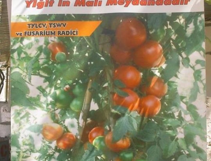 Sloganlarıyla Büyük Markalara Taş Çıkaran 13 Mizahşör Yurdum Esnafı