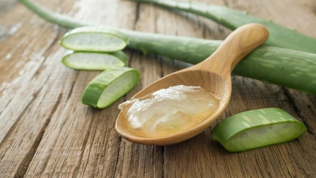 Yetiştirilmesinden Faydalarına: Aloe Vera