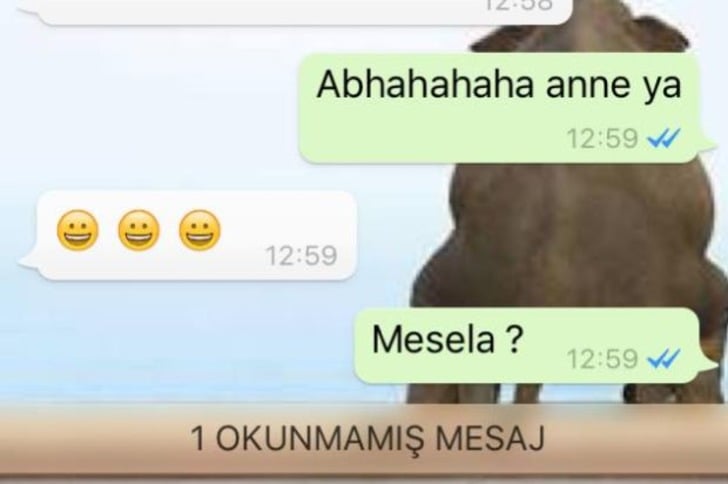 Annelerin Dünyanın En Net İnsanları Olduğunun 12 Gerçek Kanıtı