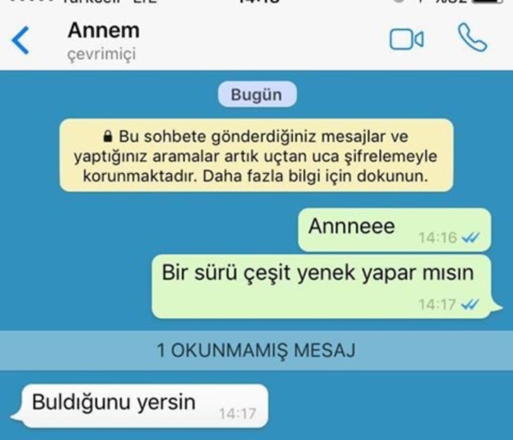 Annelerin Dünyanın En Net İnsanları Olduğunun 12 Gerçek Kanıtı