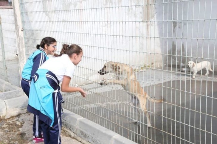 Mama Bağışı Yaparak Sahipsiz Hayvan Dostlarımızı Doyurabileceğiniz 45 Barınak