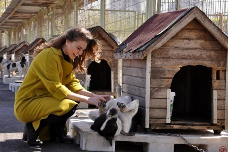 Mama Bağışı Yaparak Sahipsiz Hayvan Dostlarımızı Doyurabileceğiniz 45 Barınak