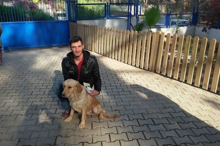 Mama Bağışı Yaparak Sahipsiz Hayvan Dostlarımızı Doyurabileceğiniz 45 Barınak