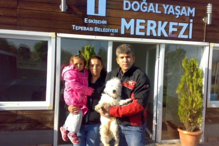 Mama Bağışı Yaparak Sahipsiz Hayvan Dostlarımızı Doyurabileceğiniz 45 Barınak