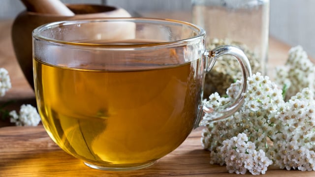 Çayı Çok Faydalı: Civanperçemi