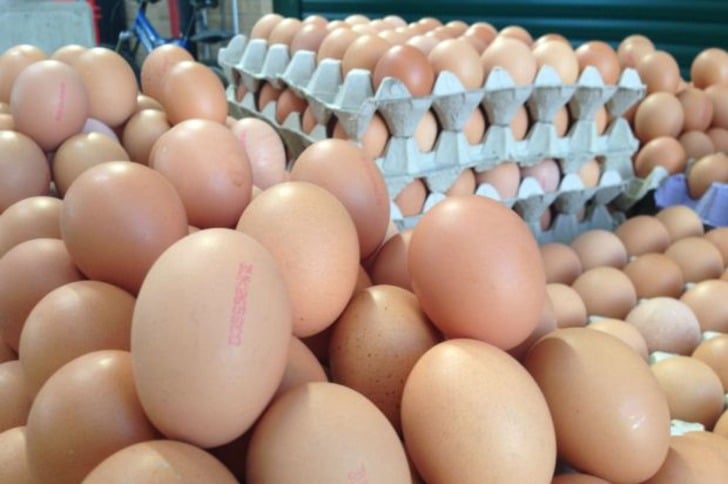 Yumurta Hakkında Mutlaka Bilmeniz Gereken Market Gerçekleri