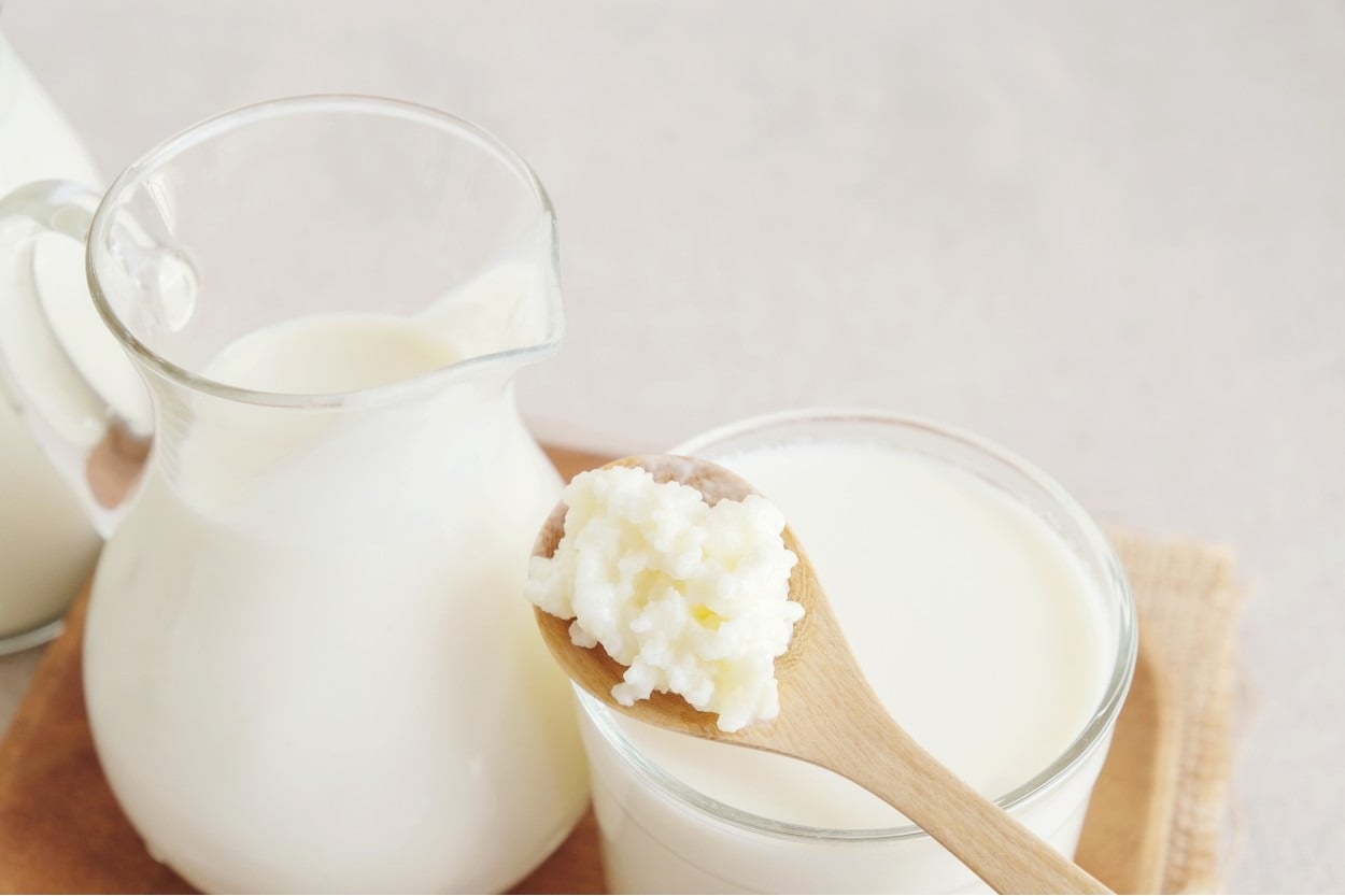 Bağırsakların En İyi Dostu Kefir Nasıl Yapılır?