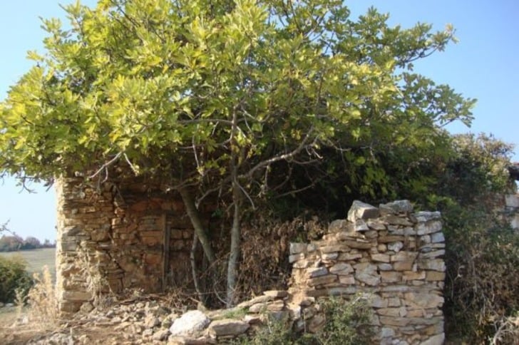 Günlük Hayatta Sıkça Kullandığımız 12 Yemekli Atasözü ve Deyimin Anlamı