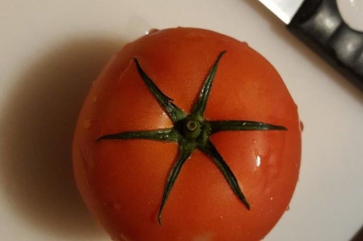 Gördüğünüzde Bir Kutu Antidepresan İçmiş Gibi Rahatlamanızı Sağlayacak 12 Fotoğraf