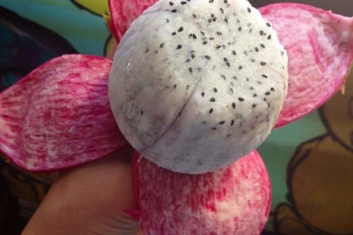 Gördüğünüzde Bir Kutu Antidepresan İçmiş Gibi Rahatlamanızı Sağlayacak 12 Fotoğraf