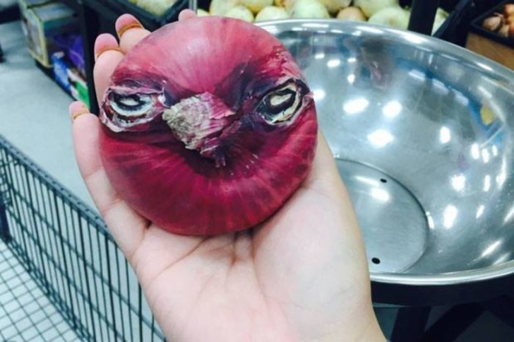 Doğanın Bizi Zaman Zaman Hunharca Trollediğinin Kanıtı 13 Fotoğraf