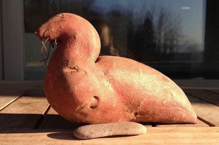 Doğanın Bizi Zaman Zaman Hunharca Trollediğinin Kanıtı 13 Fotoğraf
