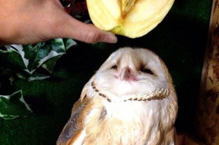 Doğanın Bizi Zaman Zaman Hunharca Trollediğinin Kanıtı 13 Fotoğraf