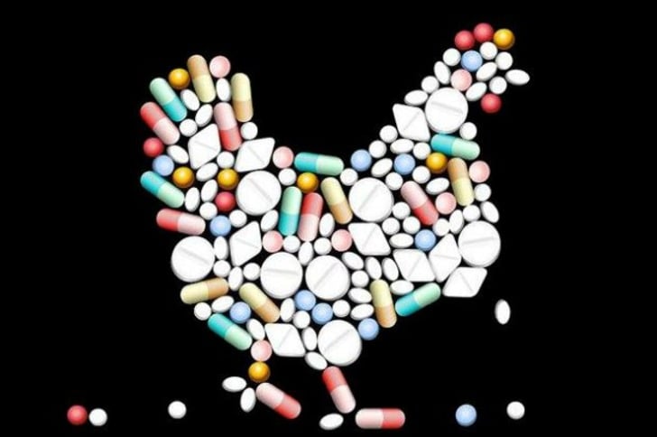 ''Artık Eve Tavuk Almıyorum'' Dedirten İddialar, Araştırmalar ve Antibiyotik Gerçekleri