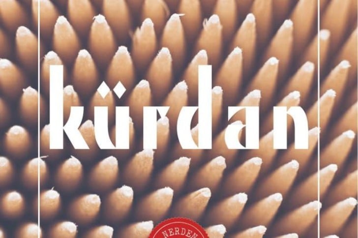 Kelimelerin Kökenlerin Araştıran ''Nerden Geliyo'' Hesabından 12 Kelime ve Anlamı