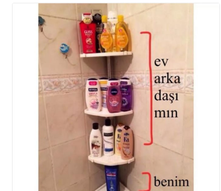 Kız Ev Arkadaşıyla Yaşamanın Tatlı-Acı Yanlarını Paylaşan Erkeğin Hikayesi
