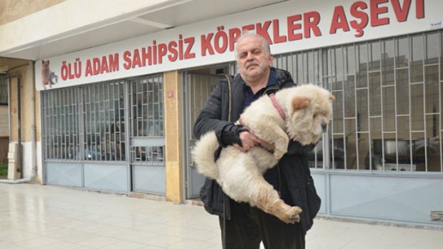 10 Yıldır Elleriyle Beslediği Sokak Hayvanları İçin Aşevi Açan Koca Yürekli İş Adamı