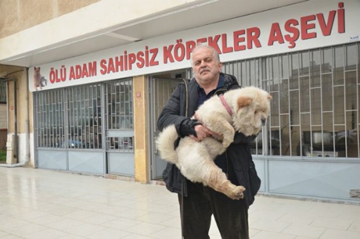 10 Yıldır Elleriyle Beslediği Sokak Hayvanları İçin Aşevi Açan Koca Yürekli İş Adamı