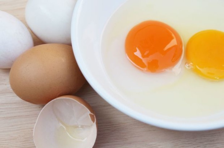Şu An Ne Yapıyorsanız Bırakıp Yumurtaya Dair Öğrenmeniz Gereken 10 Kritik Bilgi