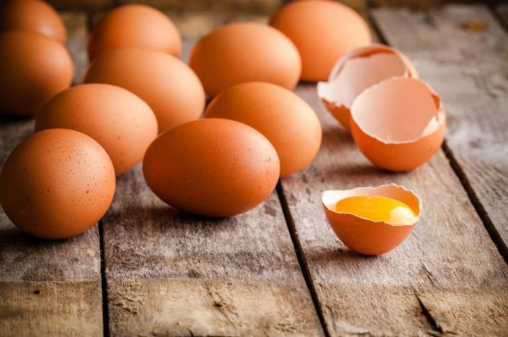 Şu An Ne Yapıyorsanız Bırakıp Yumurtaya Dair Öğrenmeniz Gereken 10 Kritik Bilgi