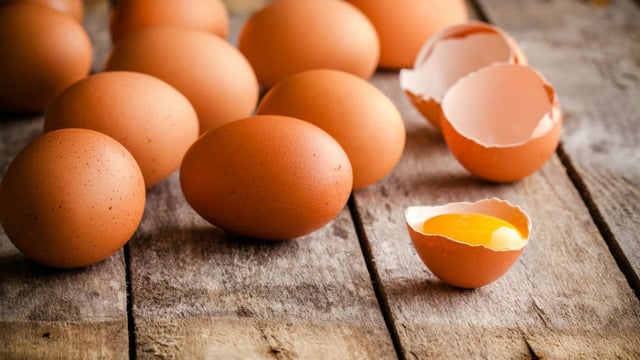 Şu An Ne Yapıyorsanız Bırakıp Yumurtaya Dair Öğrenmeniz Gereken 10 Kritik Bilgi