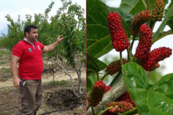 3 Üniversite Bitirip İşsiz Kalınca Sıra Dışı Bir Yöntemle Kazancını Katlayan Çiftçi