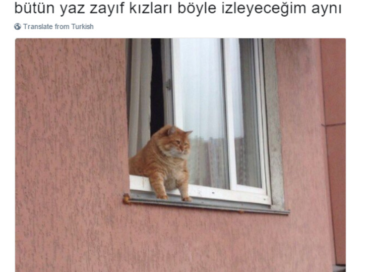 Yaza Hazır Olmadığını Hisseden Herkesin Okuması Gereken 15 Tweet