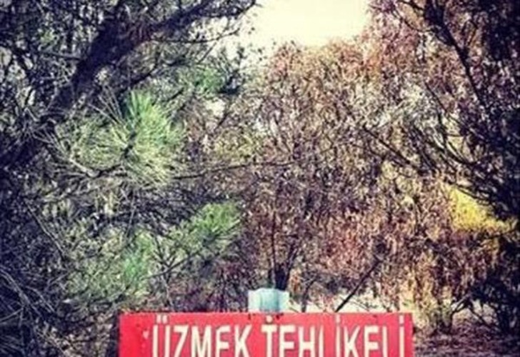 Sadece Türkiye'de Görebileceğiniz Acayiplikte 20 Güldürürken Düşündüren Yasak